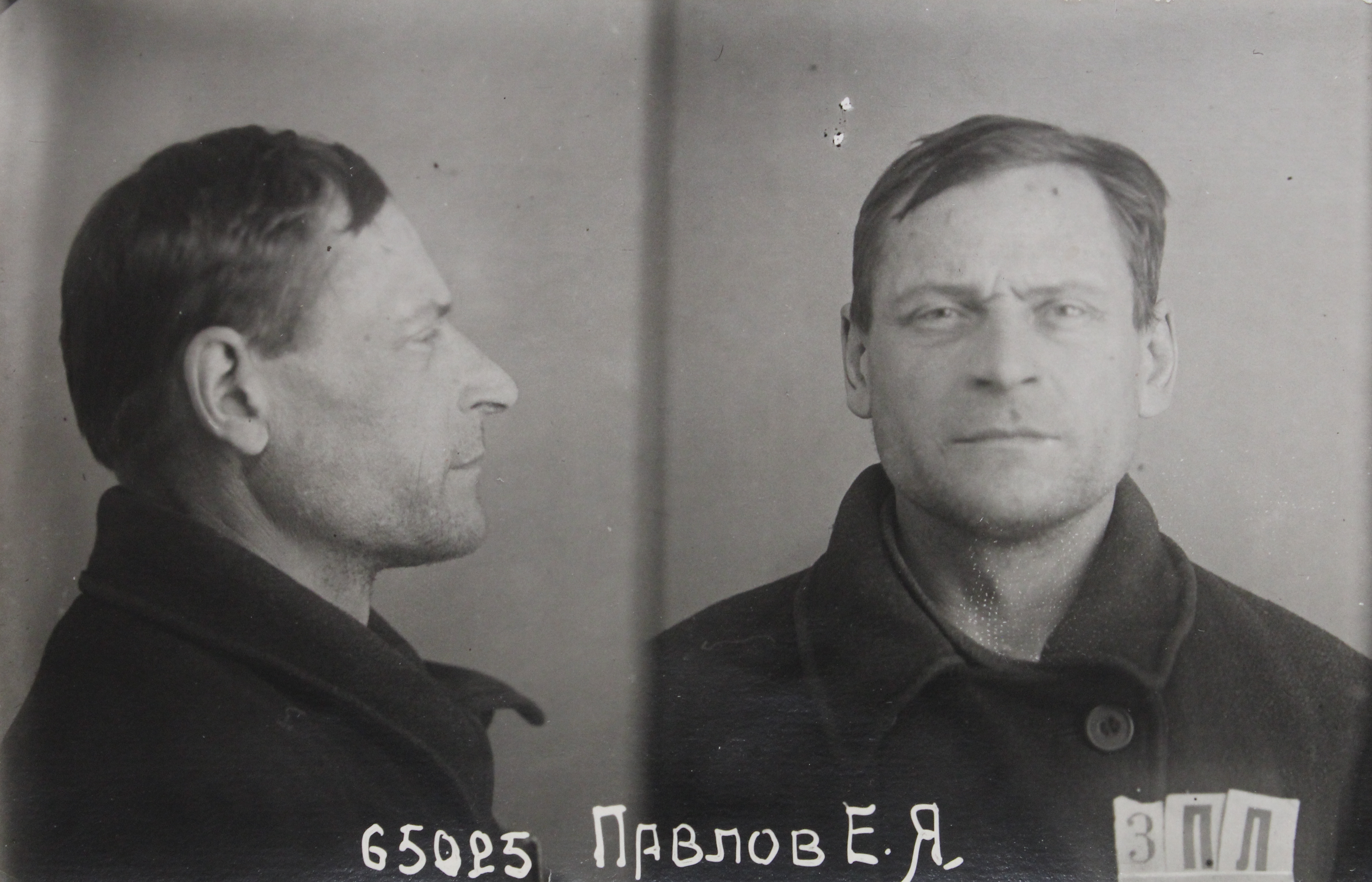 Павлов Ефим Яковлевич