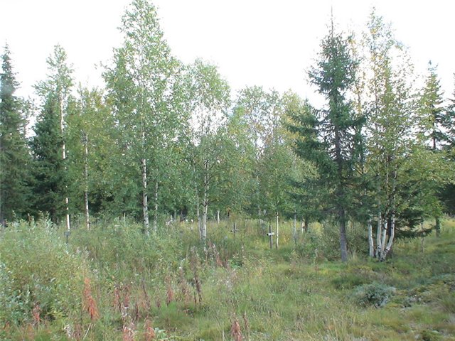 Файл:Мемориальное кладбище в пос. Абезь.jpg