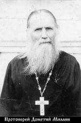 Дометиан (Милин (Миллин) Дометий)-1.jpg