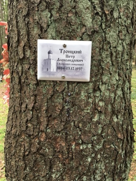 Файл:Троицкий Петр Александрович (1884) - visz.jpg