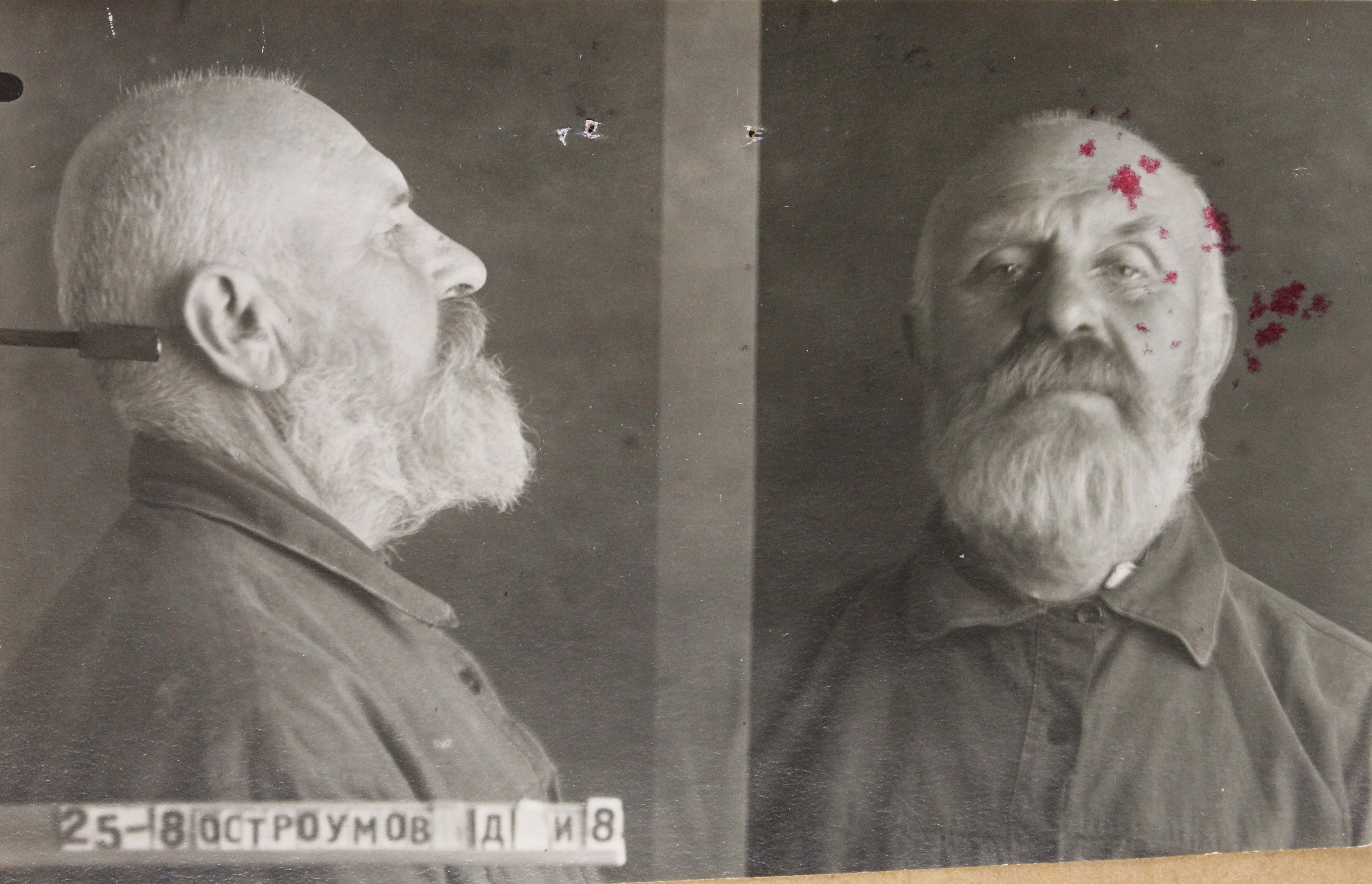 Архиепископ ландгрен. Товия (остроумов). Остроумов и д. Остроумов п. Остроумов профессор.