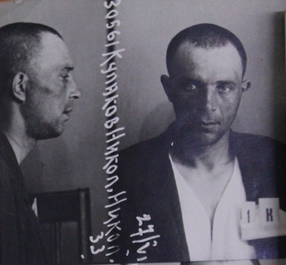 Файл:Кулаков Н.Н..jpg