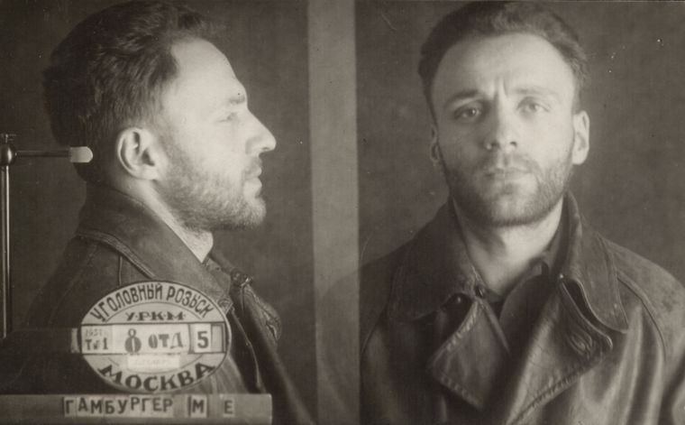 Файл:Гамбургер Михаил Евгеньевич (1909).jpg