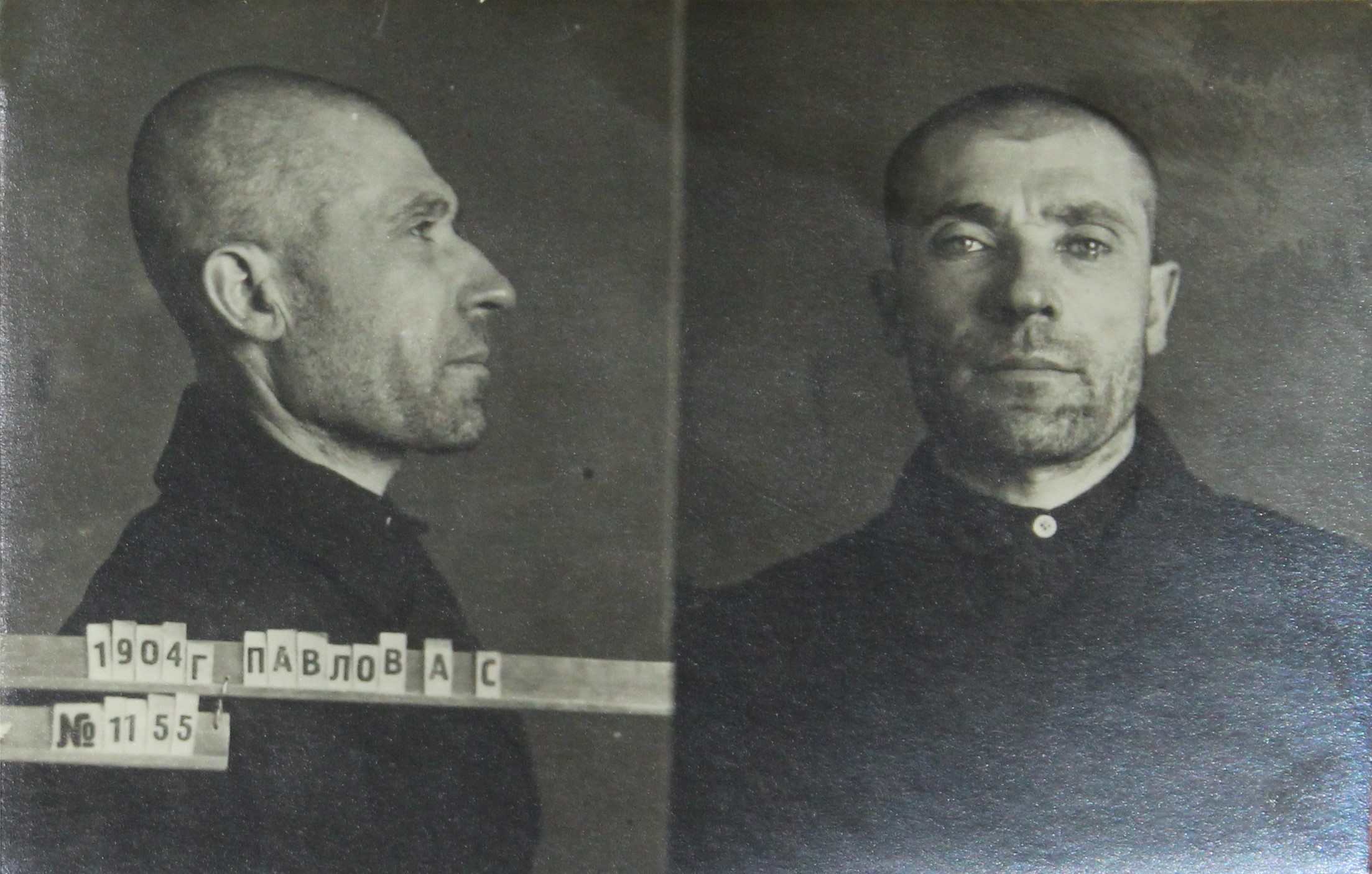 Павлов Андрей Степанович