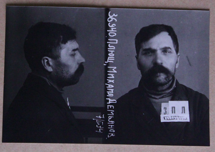 Файл:Плющ МД.png