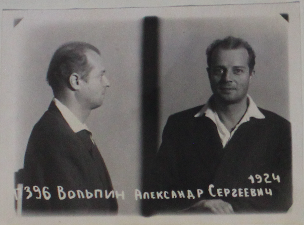 Файл:Вольпин Александр Сергеевич (1924).png