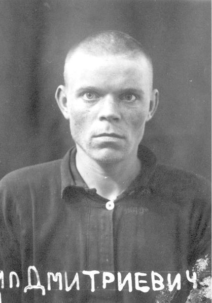 Файл:Ефремов Михаил Дмитриевич (1931).jpg