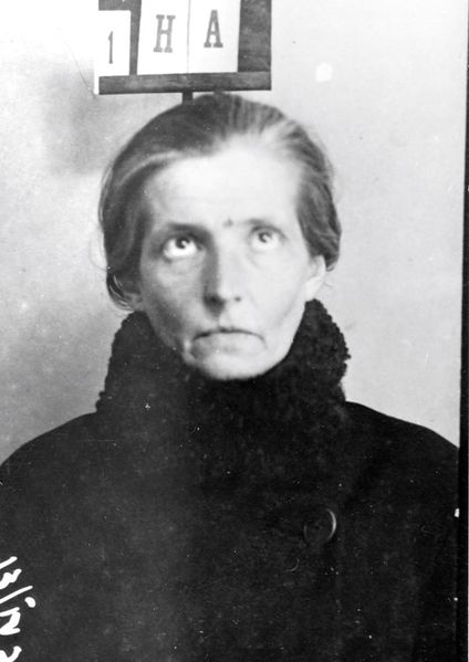 Файл:Нарышкина Софья Павловна (1880).jpg