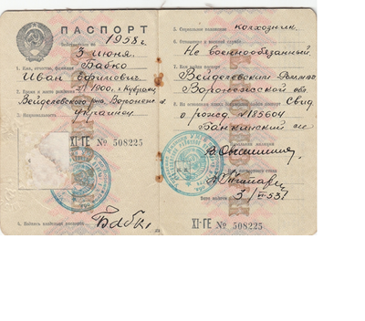 Паспорт И.Е.png