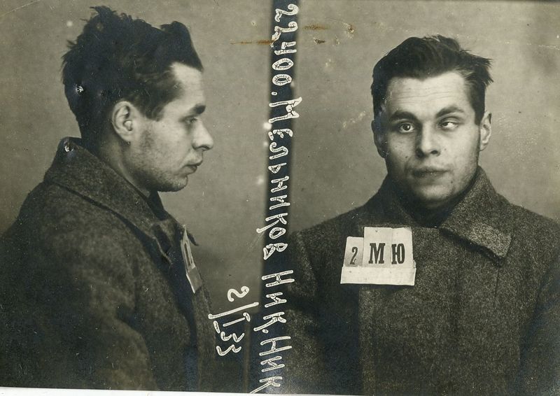 Файл:Мельников Николай Николаевич (1908).jpg