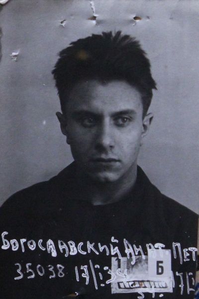 Файл:Богословский Анатолий Петрович (1913).JPG