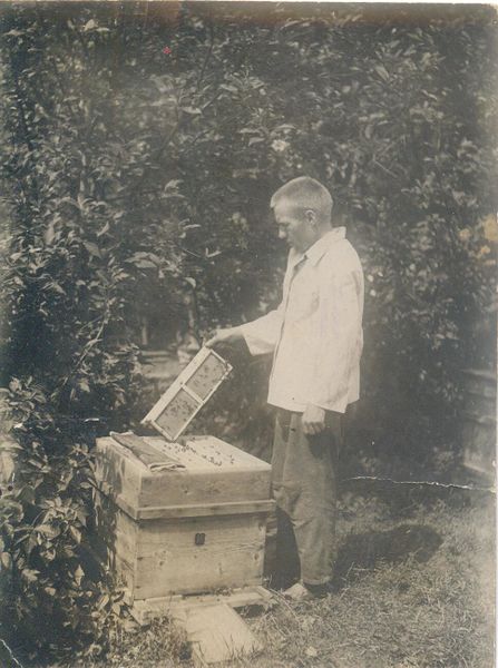 Файл:Кичигин А.А. примерно1939 г.jpeg