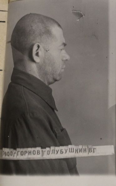 Файл:Горнов Владимир Григорьевич (1900).JPG