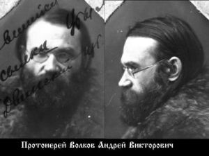 Волков Андрей Викторович-1.jpg