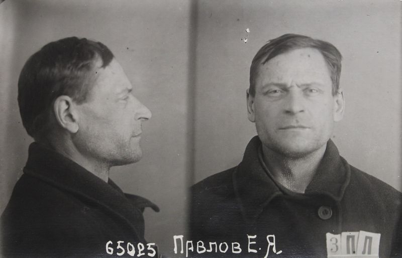 Файл:Павлов Ефим Яковлевич (1895).jpg