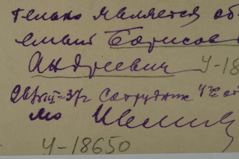 Файл:BORISOV S.A TX3.JPG