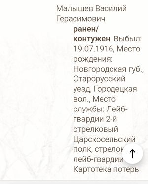 Малышев В.Г.(1).jpg