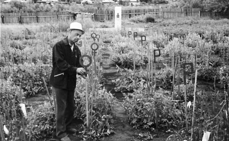 Файл:Супруненко Николай Владимирович (1911).jpg