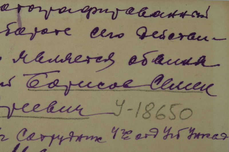 Файл:BORISOV S.A TX2.JPG