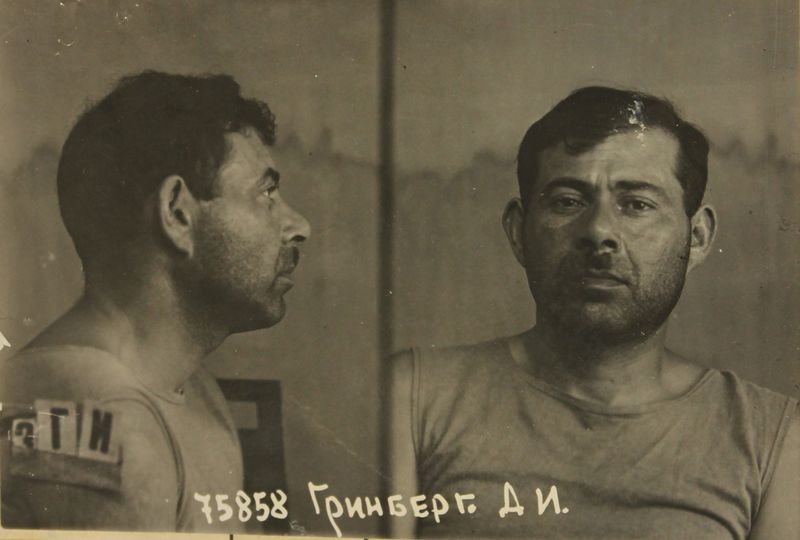 Файл:Гринберг Давид Иосифович (1903).JPG