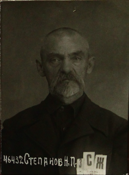 Файл:Степанов Николай Петрович (1881).png