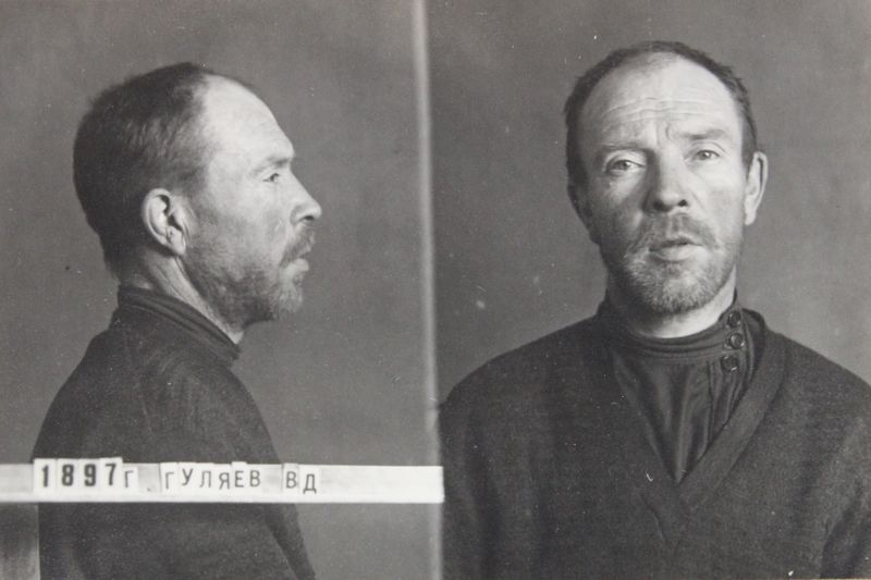 Файл:Гуляев Василий Дмитриевич (1897).JPG