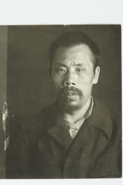 Файл:Ван-Фу-Хай (1892) - анфас.jpg