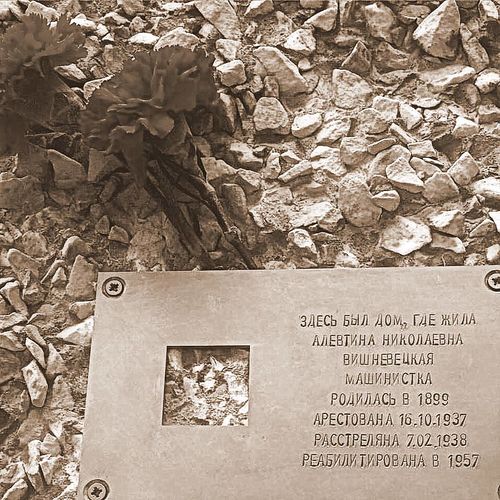 Вишневецкая а.н.jpg