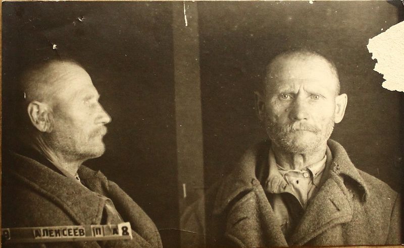 Файл:Алексеев Петр Алексеевич (1874).JPG