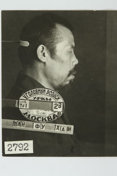 Файл:Ван-Фу-Хай (1892) - профиль.jpg