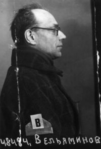 Н. А. Вельяминов при первом аресте (Москва, 1935)