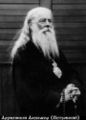 Священномученик архиепископ Александр (Петровский)-2.jpg