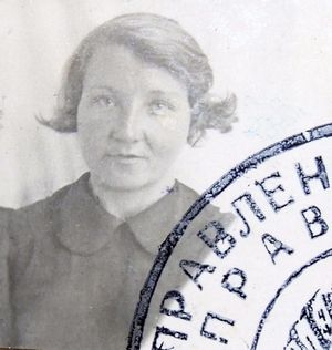 500007 2385927m7xd68835848b67.jpg