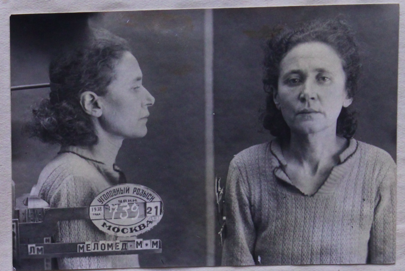 Файл:Меломед ММ.png