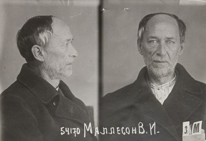 Файл:Моллесон Вячеслав Иванович (1886).JPG