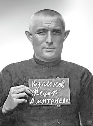 Куликов ф.д..jpg