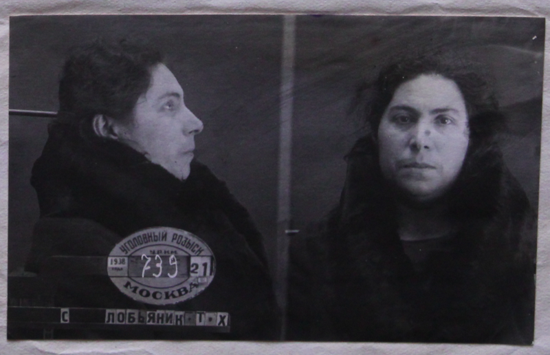 Файл:Лобянник ТХ.png