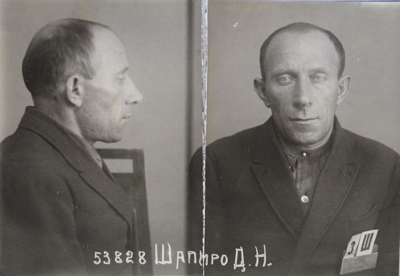 Файл:Шапиро Давид Нисонович (1893).jpg