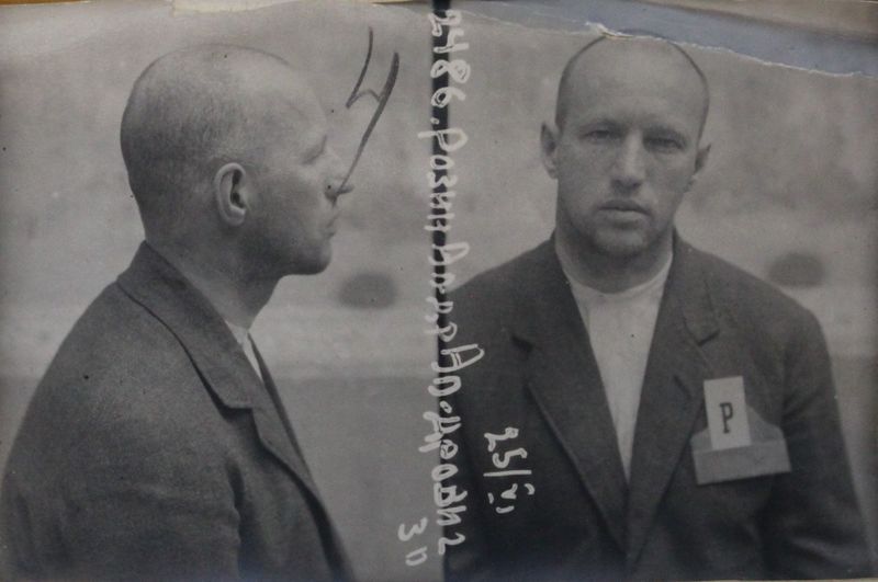 Файл:Розин Александр Александрович (1892).JPG