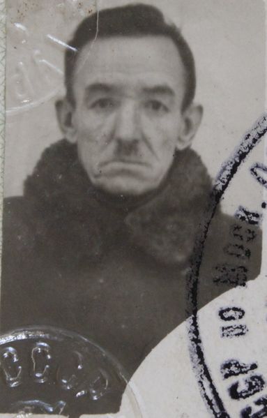 Файл:Нестеров Михаил Сергеевич (1887).JPG