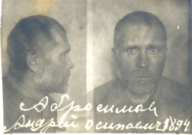 Файл:Абросимов АИ.jpg