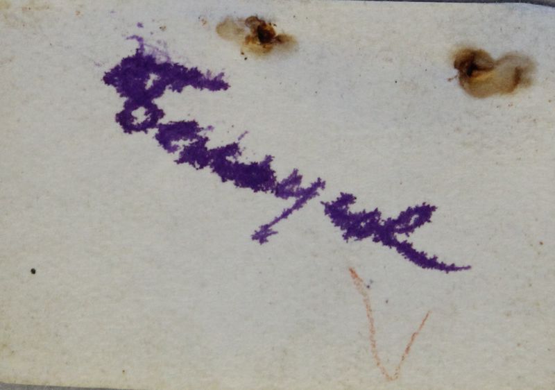 Файл:Белоусов ПА-1.jpg