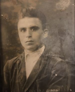 Триандофилиди Н.С.jpg