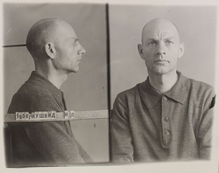 Файл:Кушвид Николай Лукич (1908).JPG