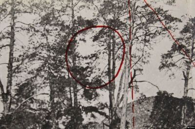 Якобы отретушированный портрет Троцкого.jpg