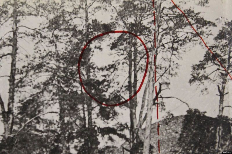 Файл:Якобы отретушированный портрет Троцкого.jpg