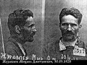 Журавлев Михаил Дмитриевич-1.jpg