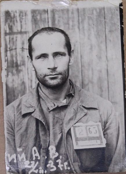 Файл:Брониковский Ад.В..jpg