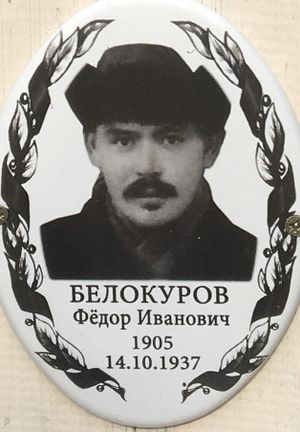 Photo 5312300888301364187 y.jpg