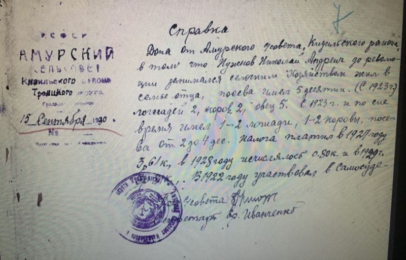 Файл:Сельсовет справка Нужнов НА.jpg